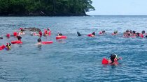 Snorkeling with whale and dolphin waching, Tour Manuel Antonio 