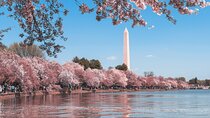 Top Tidal Basin Explorer of Thomas Jefferson FDR & MLK Memorials