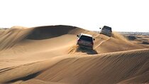 Dubai Desert Safari Adventure Tour with Dinner