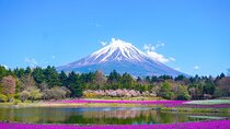 Mount Fuji Private Customizable Tour from Tokyo with Hotel Pickup