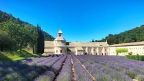 Pearls of Luberon : Gordes, Rousillon & Sénanque Abbey