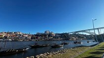Discover Porto with an Official Guide: A Tour of Iconic Landmarks