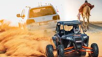 Doha Safari Adventures, Dune Bashing, Sand Buggy, Camel Ride Tour