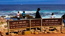 Cape of Good Hope and Penguins Half Day Tour 