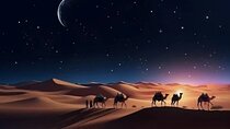 Doha Night Desert Safari, Stargazing, Photography، Relaxation