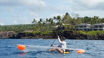 Clear Bottom Glassy Kayak Rental | MAUI | Safe and Stable Kayaks