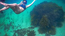 Snorkeling To Discover Sydney's Underwater Wonders