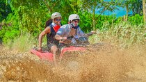 ATV OR BUGGY Ride Into the jungle with cave coffee & chocolate 