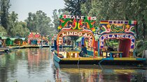 Tour of Xochimilco and Coyoacán, leaving from Mexico City