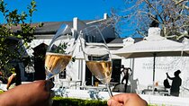 Wine Tour at Stellenbosch, Franschhoek, and Paarl
