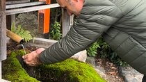 Kyoto: Temple Yoga, Tour of Four Spring Waters & Nourishing Lunch