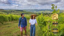 Hiking Tuscany & Chianti Wine - 3 Organic Wineries with lunch