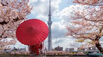 Tokyo Private Customizable Tour with English Speaking Chauffeur