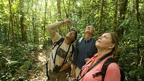 Rainforest and Traditional Crops of Costa Rica Tour