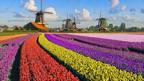 Best of Netherlands: Zaanse Schans Mills, The Hague & Rotterdam