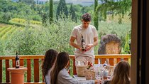 Tasting of "PREMIUM" Wines and Typical Tuscan Products