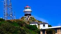 Cape Point and Penguins Half Day Group Tour