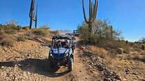 Sonoran Desert, Guided ATV/UTV Sand Buggy Adventure Tour Phoenix