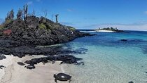 Day Tour to Floreana Island with Highland Tour and Snorkeling