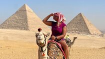 TOP Private ALL INCLUSIVE Pyramids,New Grand museum, Lunch,camel