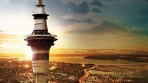 Auckland City Highlights Private Tour