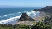West Coast Discovery Piha Beach Private Tour 