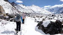 Langtang Valley Trek from Kathmandu