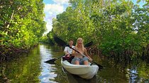 Full day Mangrove kayak + Jazani forest + kuza cave + Paje beach