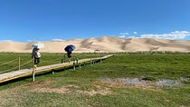 Gobi Highlights Tour