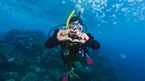 Scuba Diving for Beginners With Lunch in Hurghada