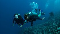 Intro Scuba Diving for Beginners With Lunch in Marsa Alam