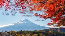 Mount Fuji Full Day Tour form Tokyo Lake Kawaguchi & Yamanaka