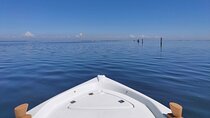 Chioggia : Private Boat Tour To Discover The Venetian Lagoon