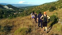 A walk on Monte Pisano