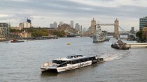 London Roundtrip Thames Cruise Uber Boat by Thames Clippers