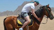 Desert Horse Riding In Sharm El Sheikh