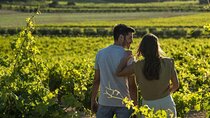 Vineyard Tour with Wine Tasting, Cava, and Snacks from Valencia