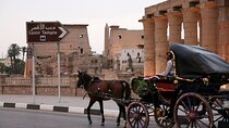 Luxor City Horse Carriage Tour: Dine and Discover