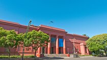 Museo Nacional de Bellas Artes Buenos Aires Private Tour