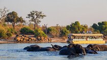 Chobe Boat Cruise & Game Drive Day Trip From Livingstone