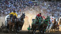 Calgary Stampede Evening Show