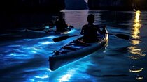 Small Group Bioluminescent Canoe&Twilight Adventure Phang Nga Bay
