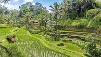 Ubud Culture Fullday Tour