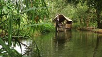 Backwater Tour from Cochin