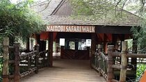 Safari Walk Tour with Animal Orphanage in Nairobi