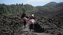 Private Tour Pacaya Volcano