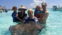 Acquarius Stingray City and Snorkel Tours