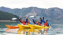 Sea Kayaking Christchurch, Lyttelton Harbour & Quail Island