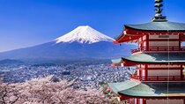 Mount Fuji Full Day Sightseeing Tour from Tokyo