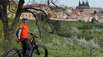 FAT TIRE E-BIKE GREAT TOUR - river, parks & panoramic views tour